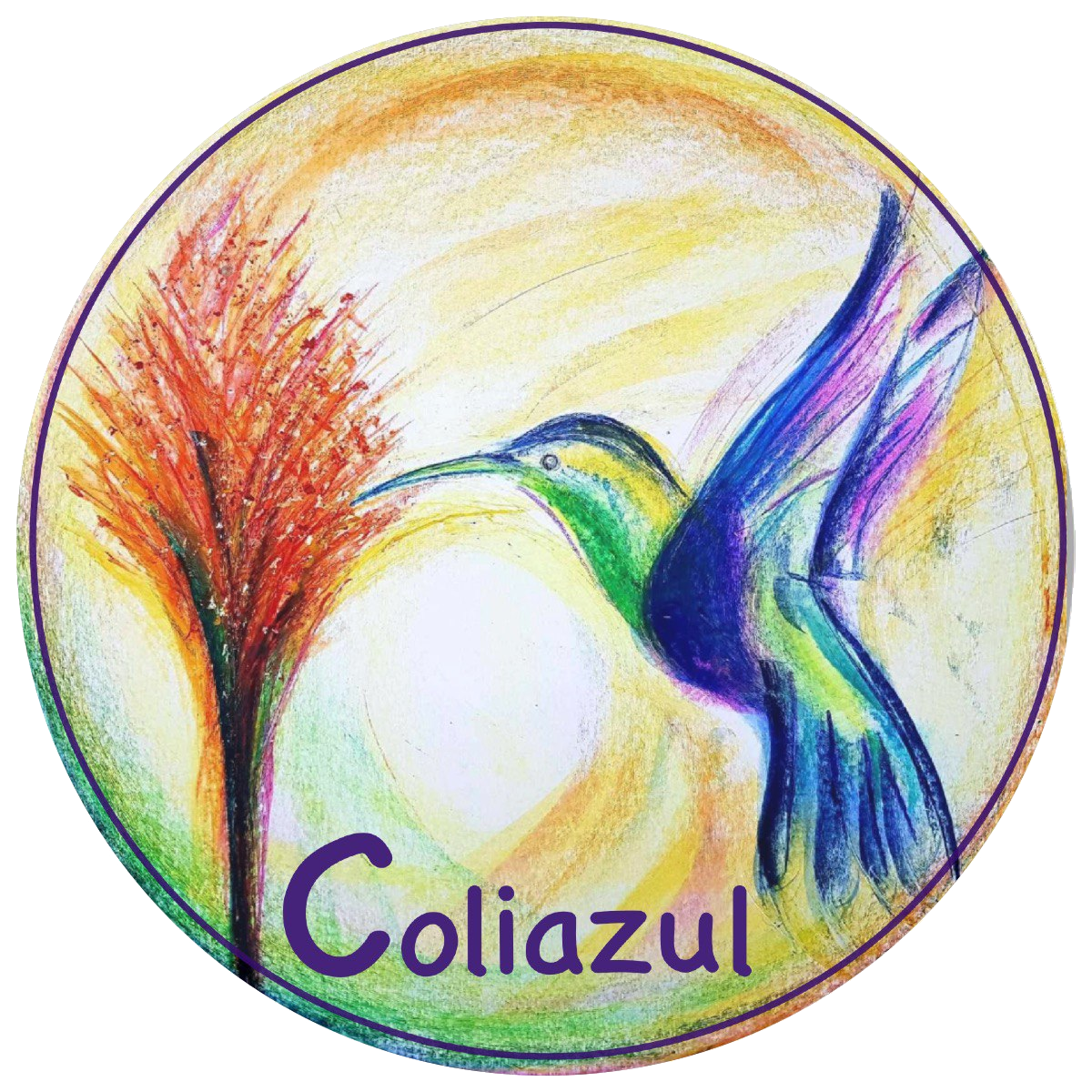Coliazul Community Project