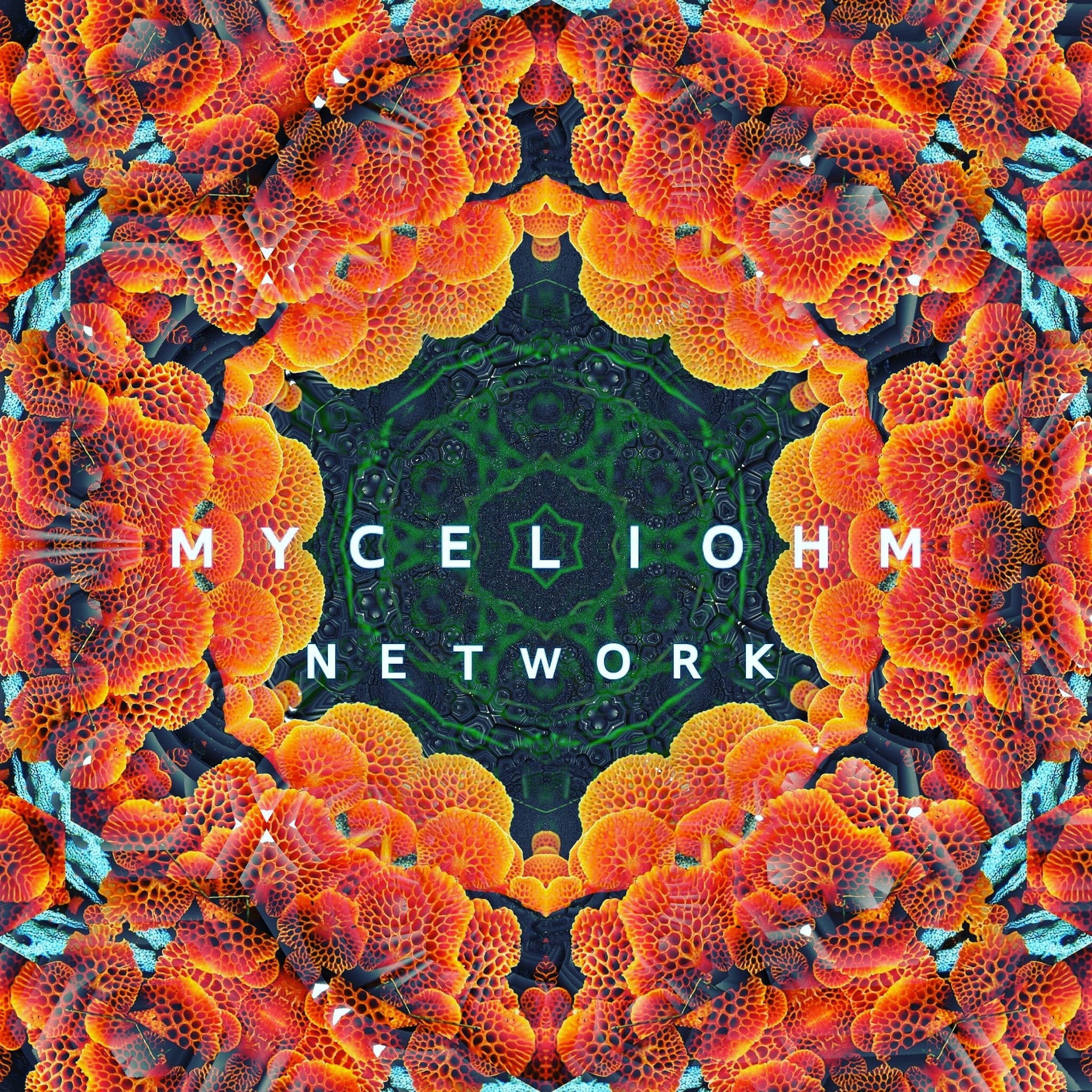 MyceliOhm Network